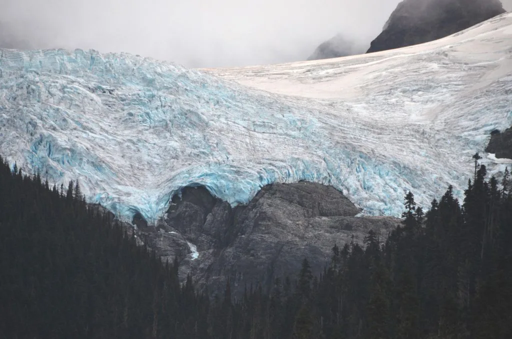 glaciar montañas y árboles