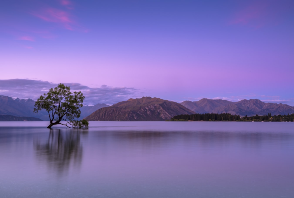 lake with a tree in the middle