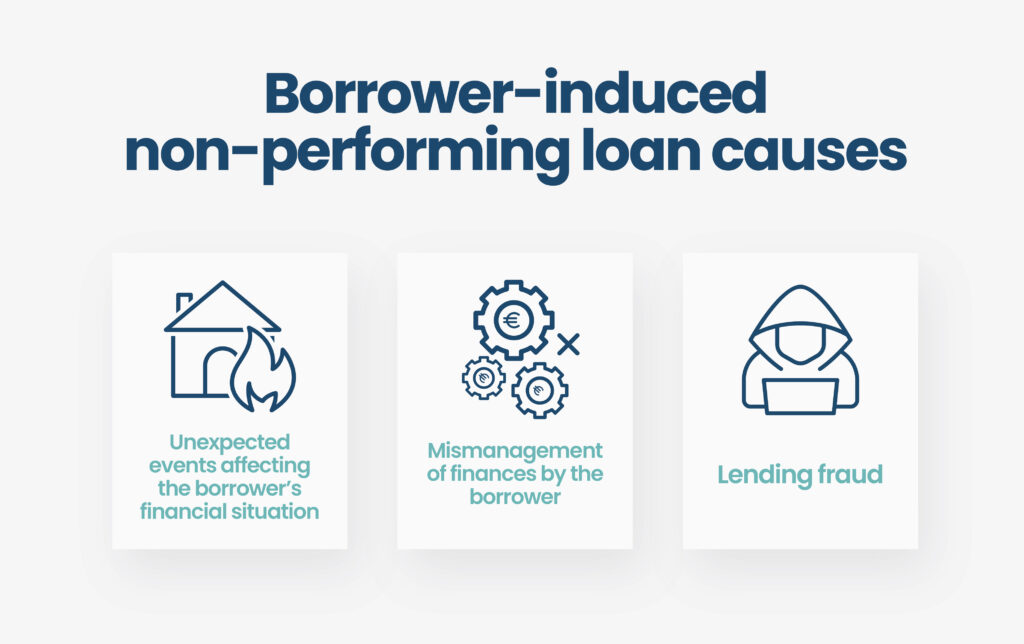 Borrower-induced non-performing loan causes