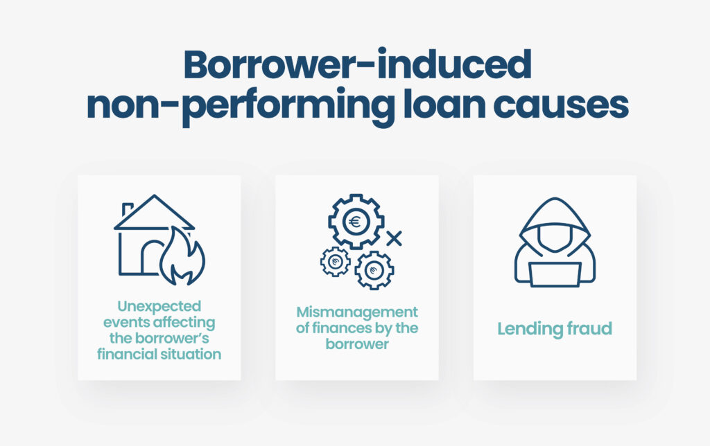 non performing loan thesis